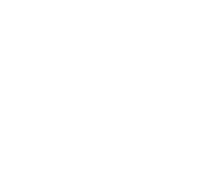 shopify-netsuite-integration-logo