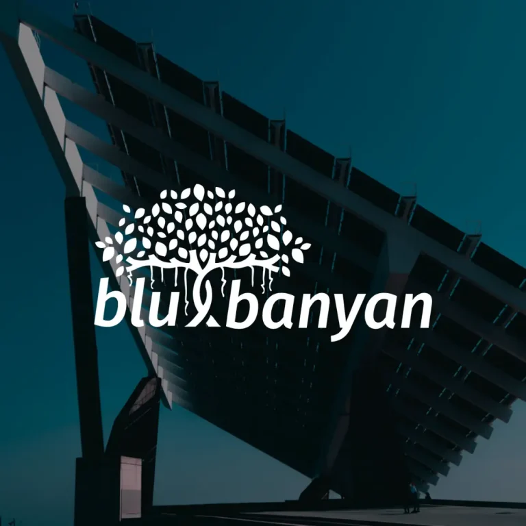 Blu-Banyan-eCommerce-website