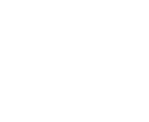shopify netsuite integration services