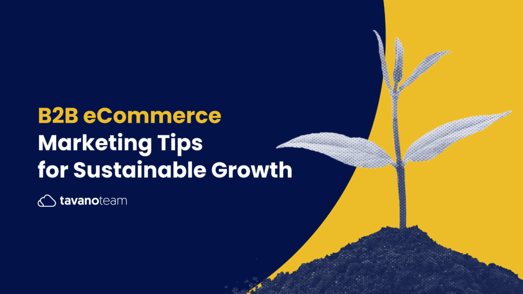 B2B-eCommerce-Marketing-Tips-for-Sustainable-Growth