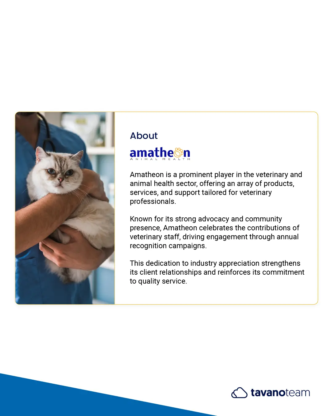 Amatheon Case Study