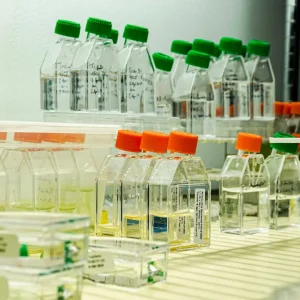 Lab supplies thermal scientific