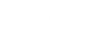 Shopify Plus Partner Badge