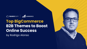 bigcommerce-b2b-themes