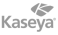 kaseya logo tavano team